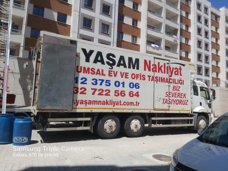 e675cd d3eabffb4c224bc3ba9946073721f7d8mv2 768x576