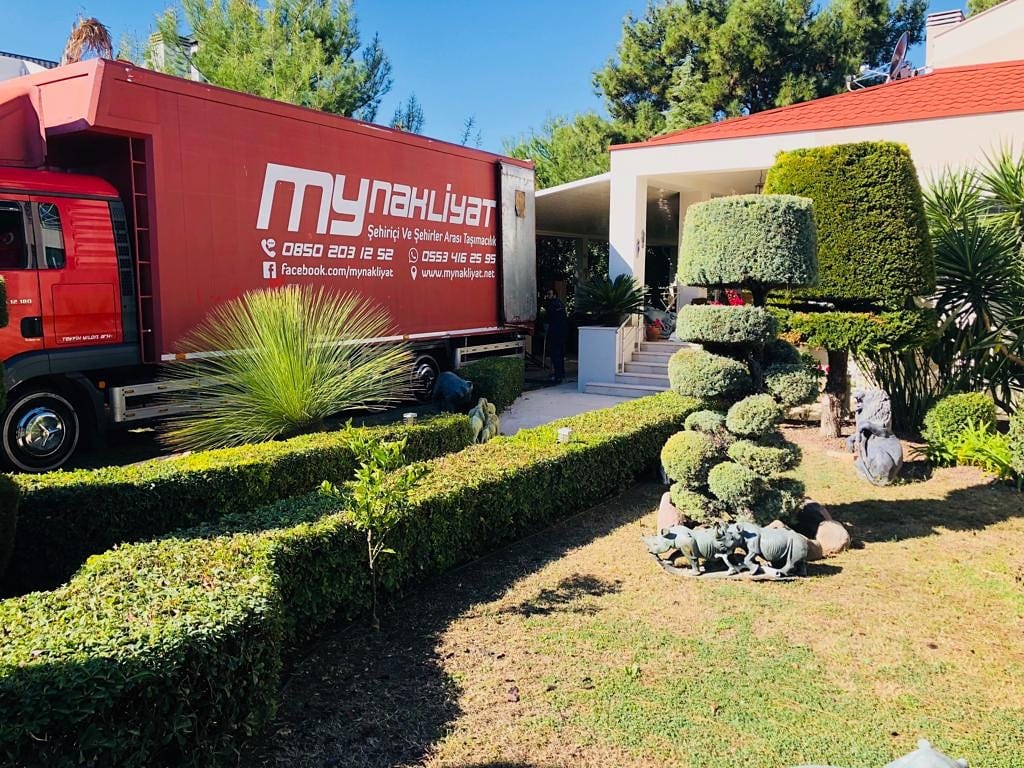 Profesyonel Tasimacilik